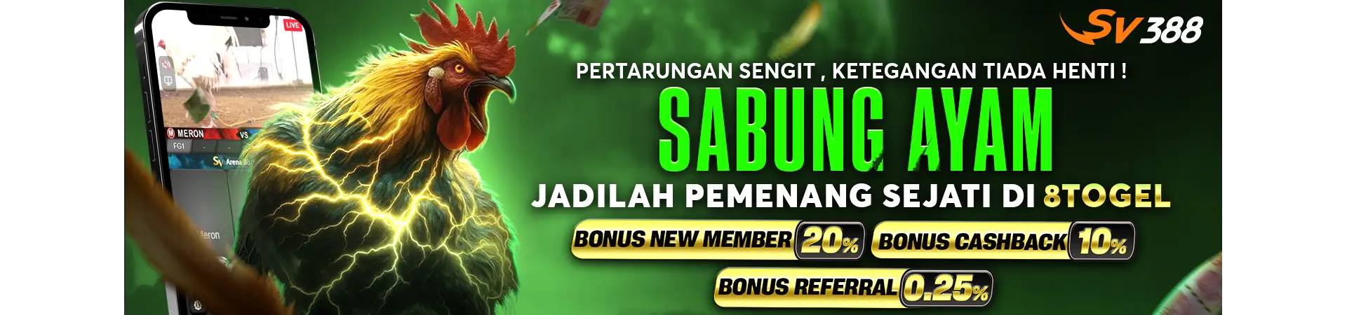 8tgold.com